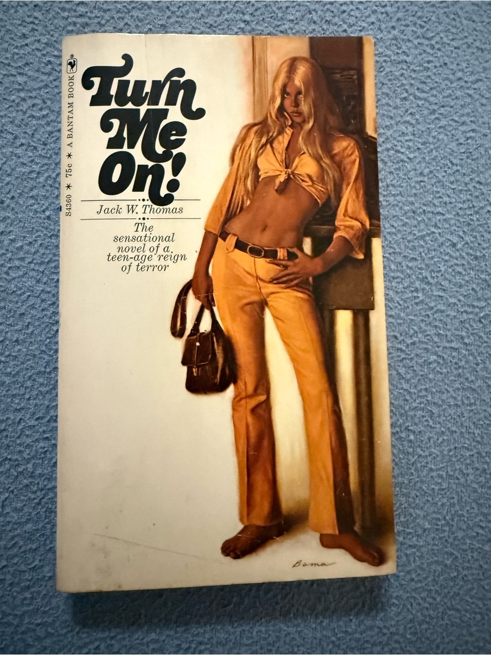 Turn Me On 1969 Paperback book